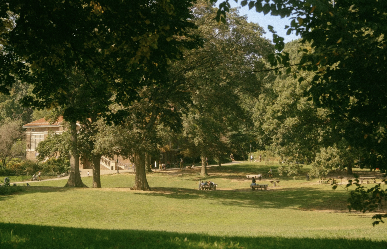 Urban Mental Health: How to Find Refuge and Peace in City Life