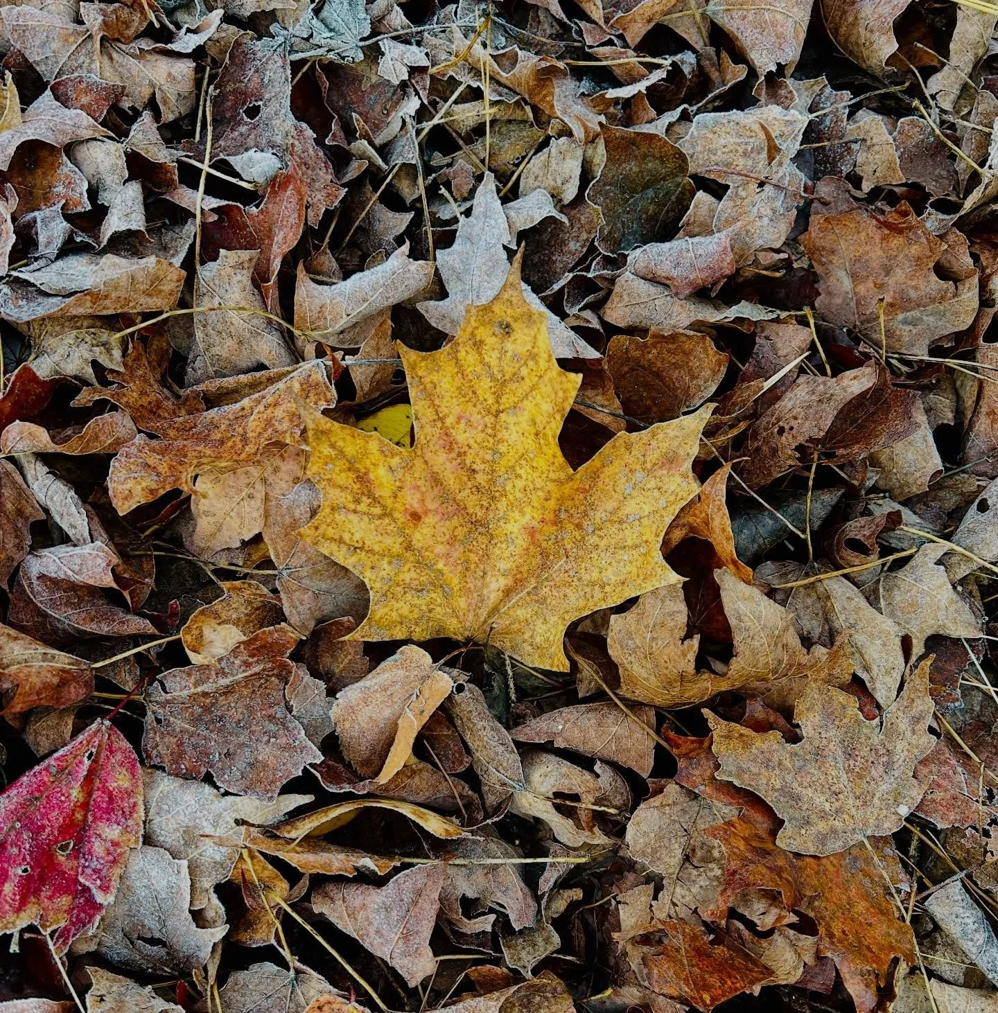 🤍

.

.

.

.

.

.

#poetry #poems #poetrycommunity #words #thoughts