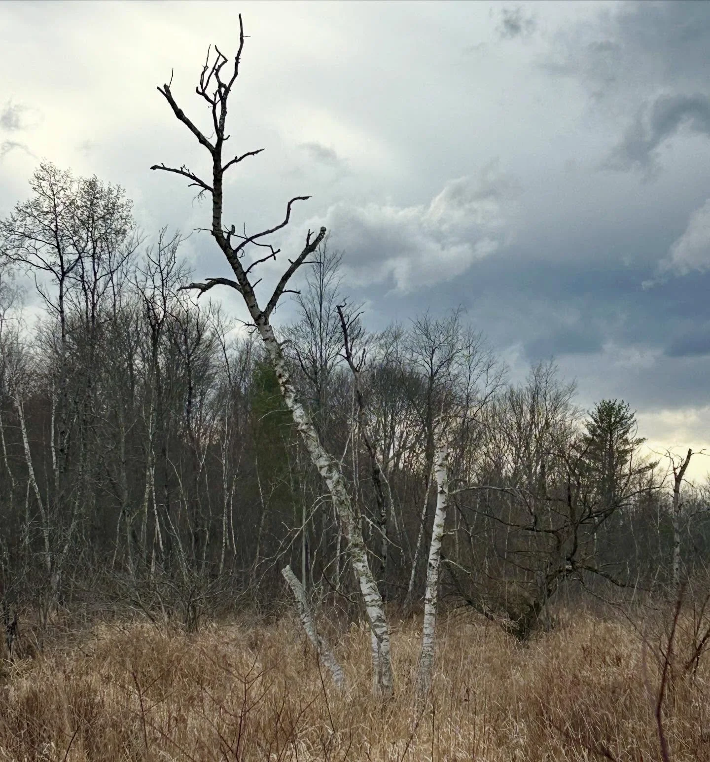 Sometimes you have
To stand on your own
To find your ground,
Even if no one understands 
And only god knows your plan.

I gained my courage in the mosh pit. 
you reminded me when I came around,
boy at the warped tour.