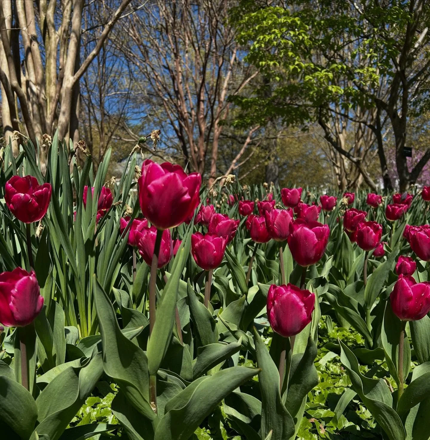 .

.

.

.

.

.

.

.

.

.

.

#poetry #photography #poetrysociety #poems #nature