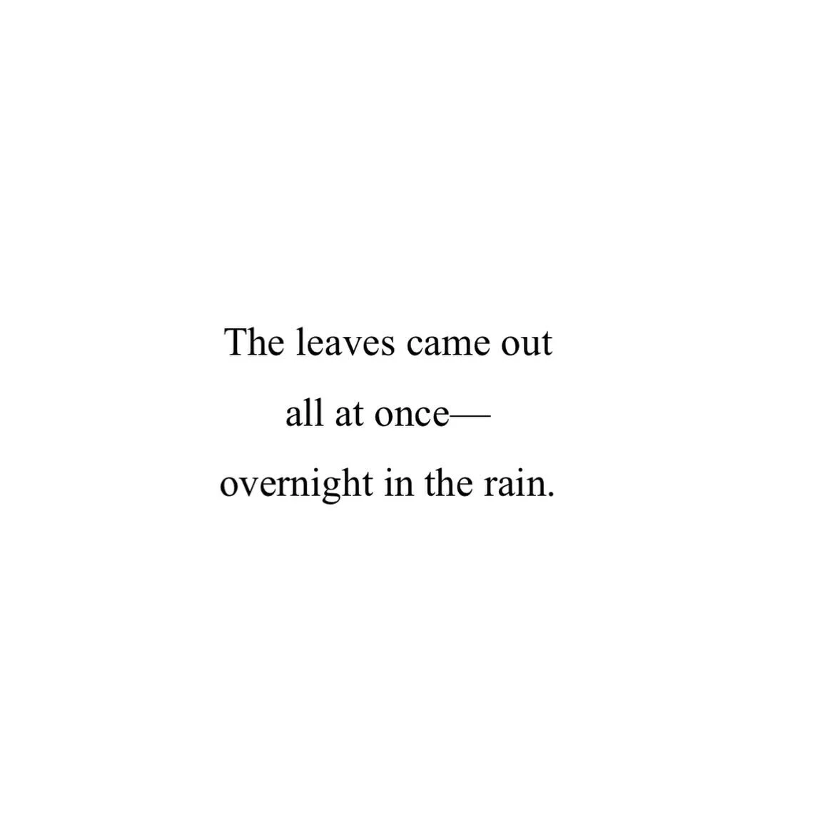 .

.

.

.

.

.

.

.

.

.

.

#poem #nature #poetry #naturepoem