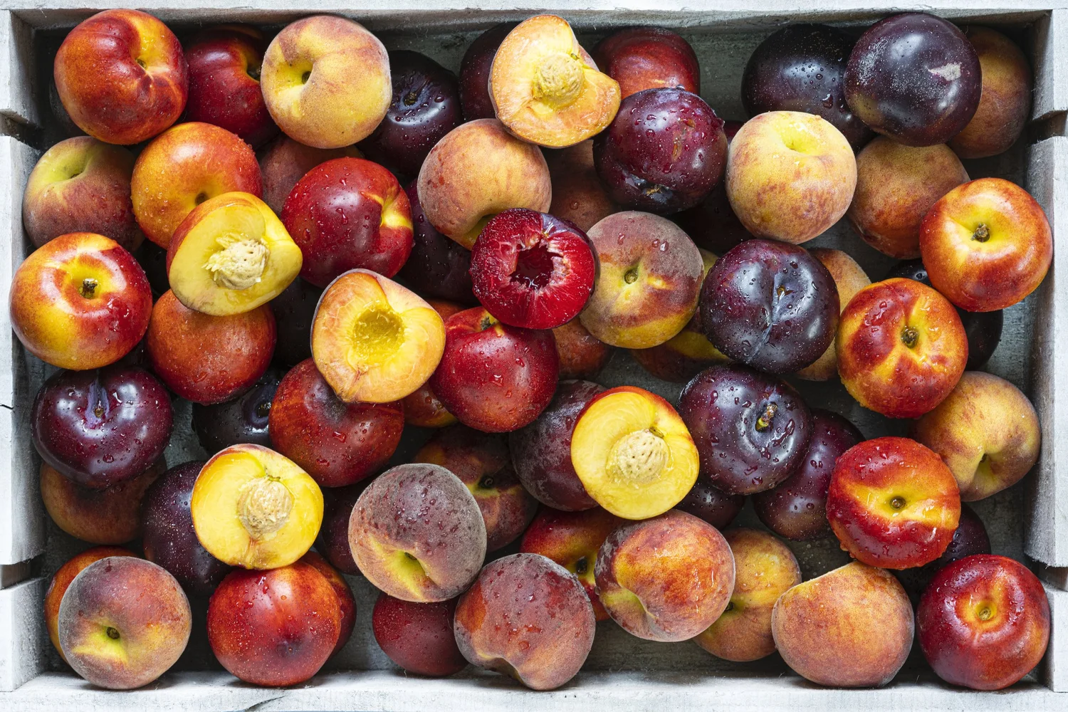 Stone Fruits