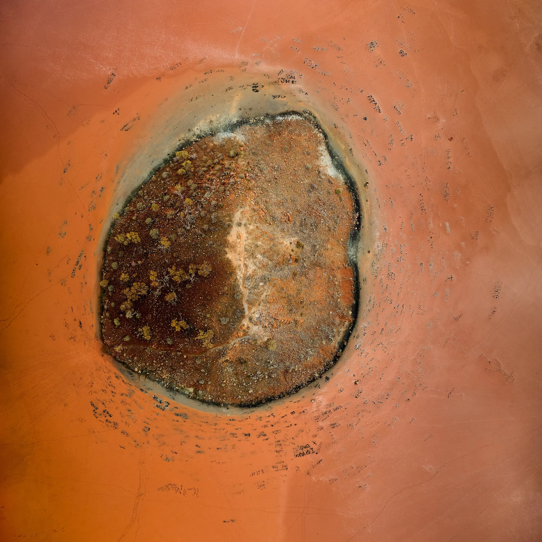 LakeBallard-DJI-20240607-05.jpg