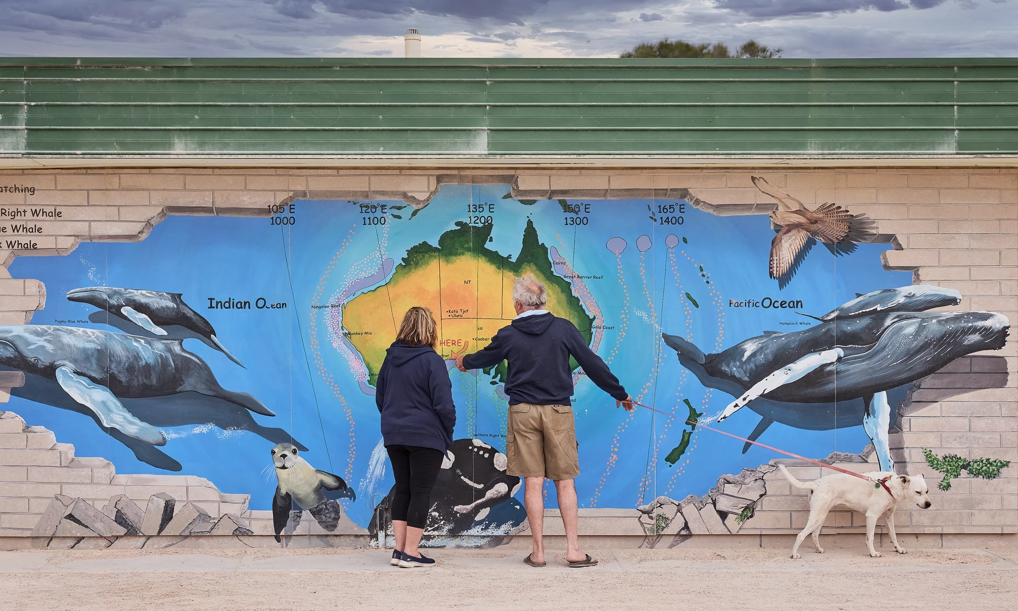 NullaborSign-SL3-2050417-01 1.jpg