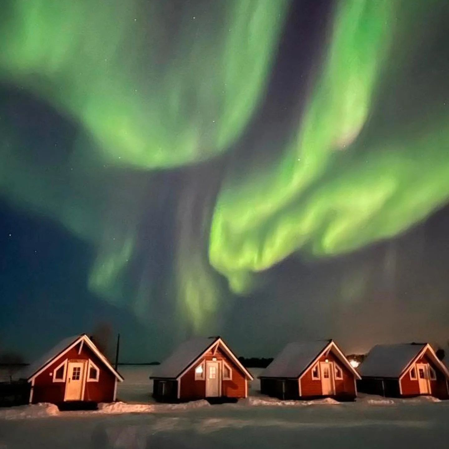 Sisu is at the heart of Finnish wellbeing, it&rsquo;s a calm determination to endure and evolve, just like the adaptogens that power @forest_spa_finland formulations. The winter months are when to draw on that strength most, it encourages a mindful r