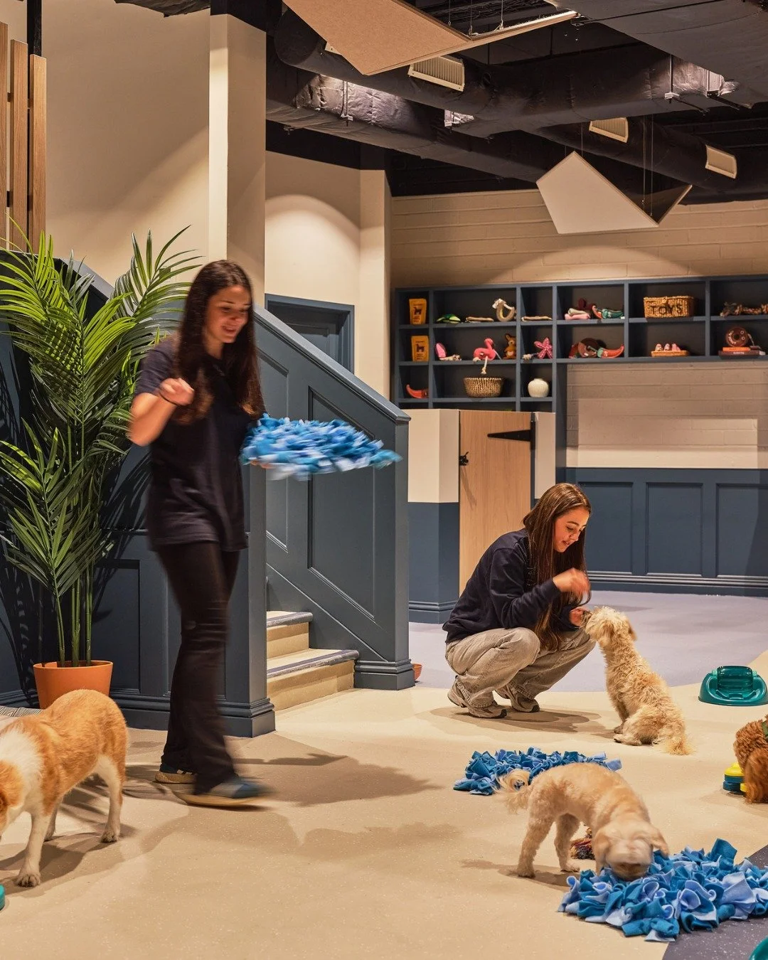 Something exciting has arrived at Islington Square! 🐾 

Welcome @wagworkslondon, a space made for dogs in the heart of Islington. From day care and grooming to training and wellness, it&rsquo;s everything your four legged friend deserves.

#Islingto