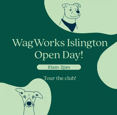 WagWorks Summer Open Day