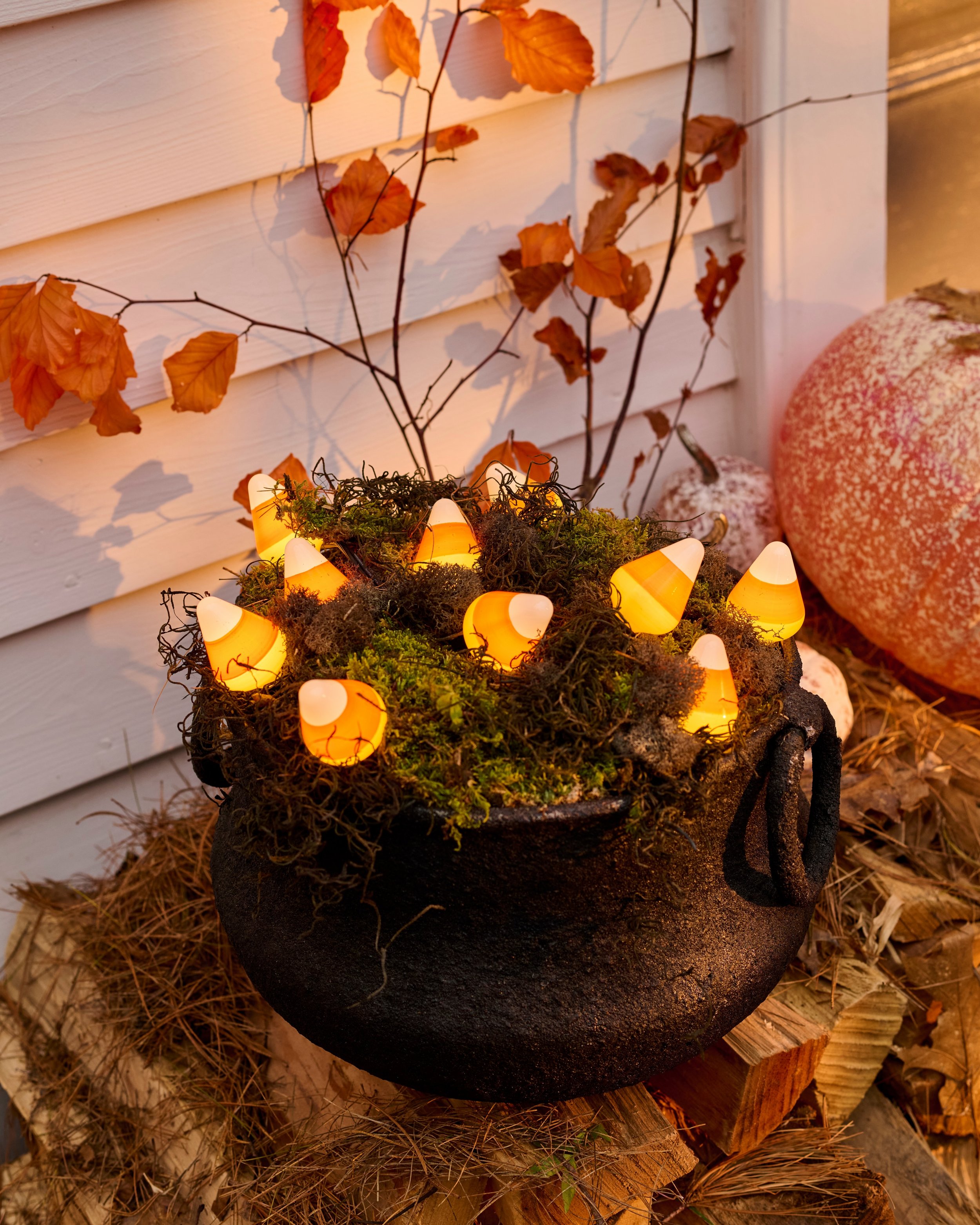 What to do this autumn