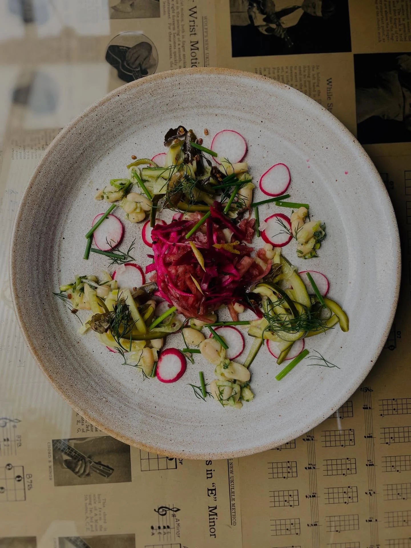 Our pretty ecstatic Summer Antipasti!
Fenugreek & Curry Leaf Pickled Cucumber, White bean Vinaigrette, Homemade Krauts, Radish & Smoked Salt. Boom!
#antipasti #alfresco #aperitif #pickybits #sharingplates #awardwinningrestaurant #vegetarian
