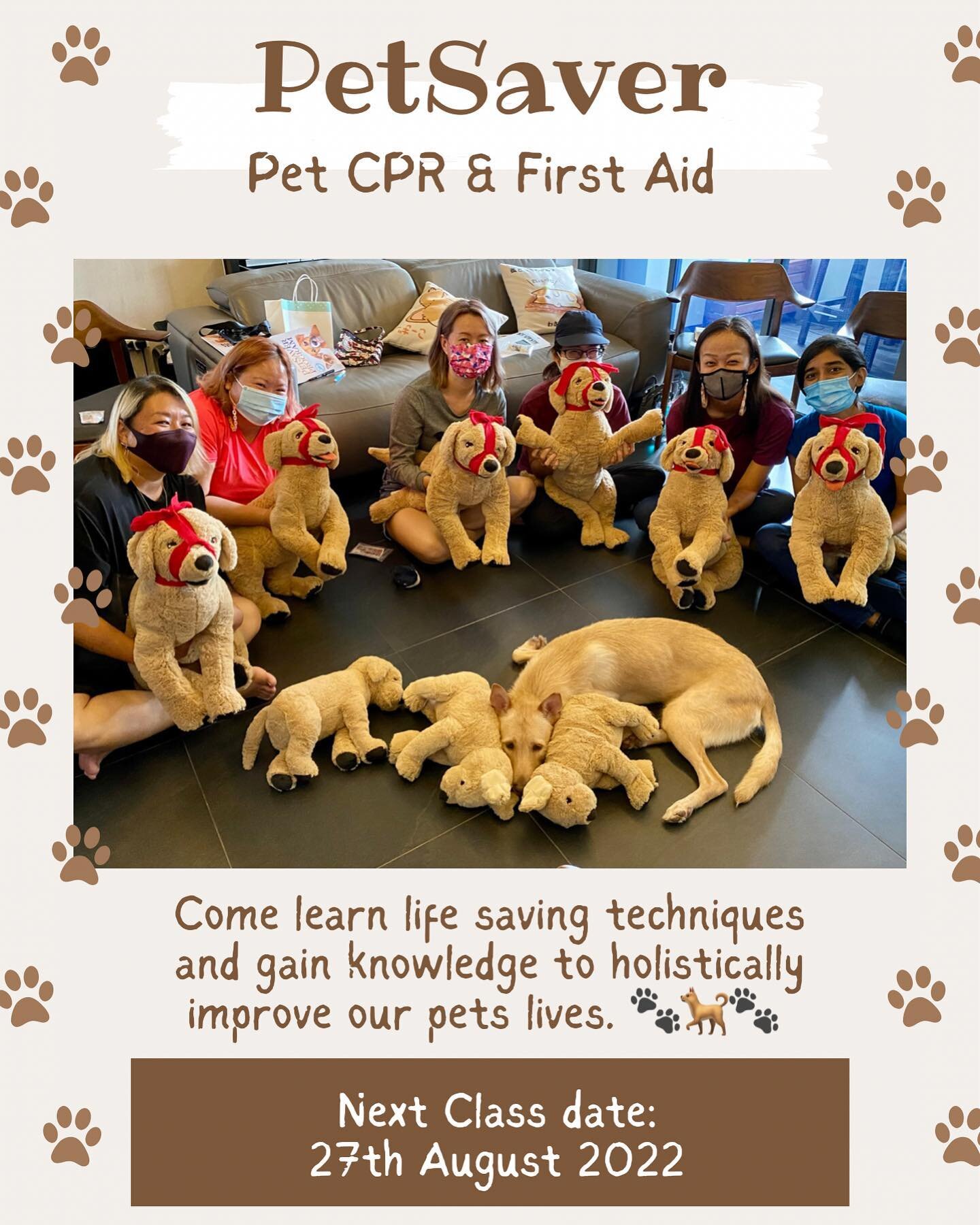 Announcing our next PetSaver class date! 
27th August 2022

Do contact us via our webpage for more details or PM us directly. 

Do note that class size is limited and registration is on a first come first served basis. Cheers! And stay safe, stay hea