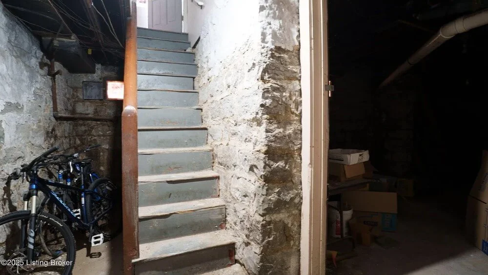1890 Traditional house Louisville Kentucky - 78 - basement.jpeg