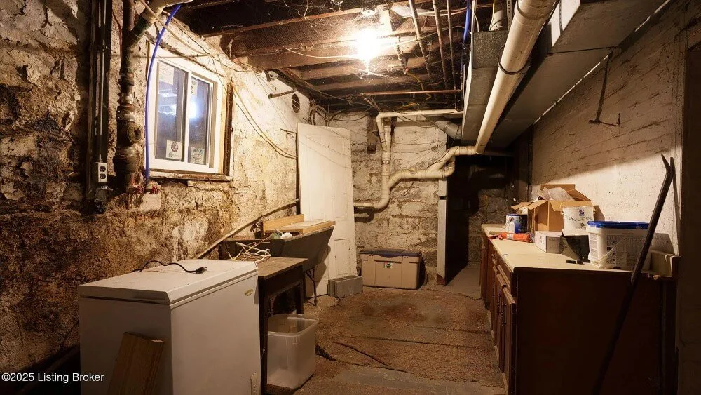 1890 Traditional house Louisville Kentucky - 79 - basement.jpeg