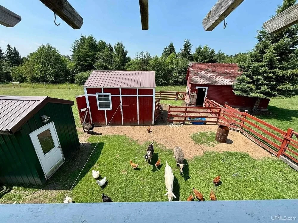 The Macloud House 1883 Victorian style Newberry Michigan - 50 - backyard.jpeg