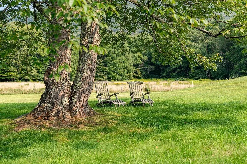 Boorn Brook Farm 1890 Farmhouse Manchester Vermont - 34 - garden.jpg