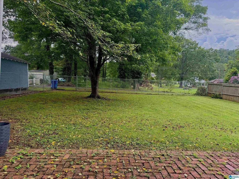 1890 Victorian house Piedmont Alabama - 78 - backyard.jpg