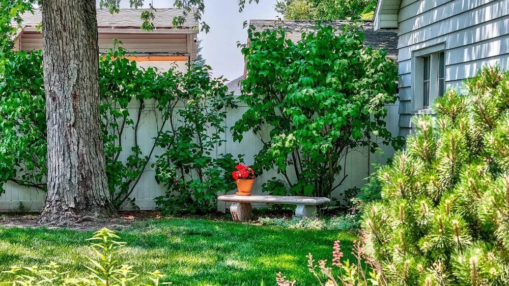 1900 American Foursquare Ottawa Illinois - 29 - backyard.jpg