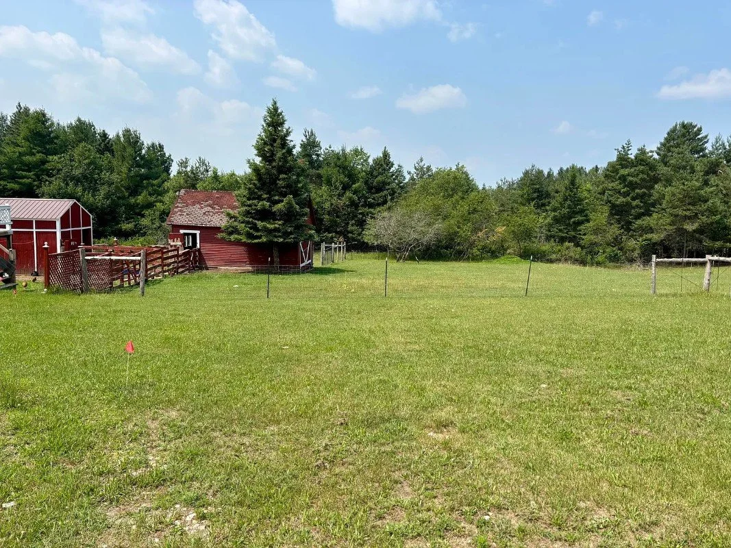1883 Victorian house Newberry Michigan - 56 - garden.webp