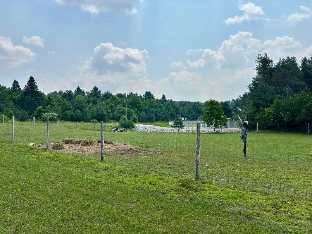 1883 Victorian house Newberry Michigan - 59 - backyard.webp