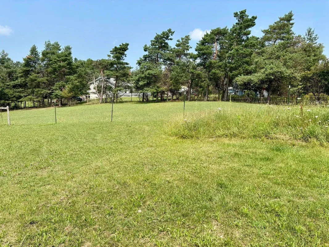 1883 Victorian house Newberry Michigan - 60 - backyard.webp