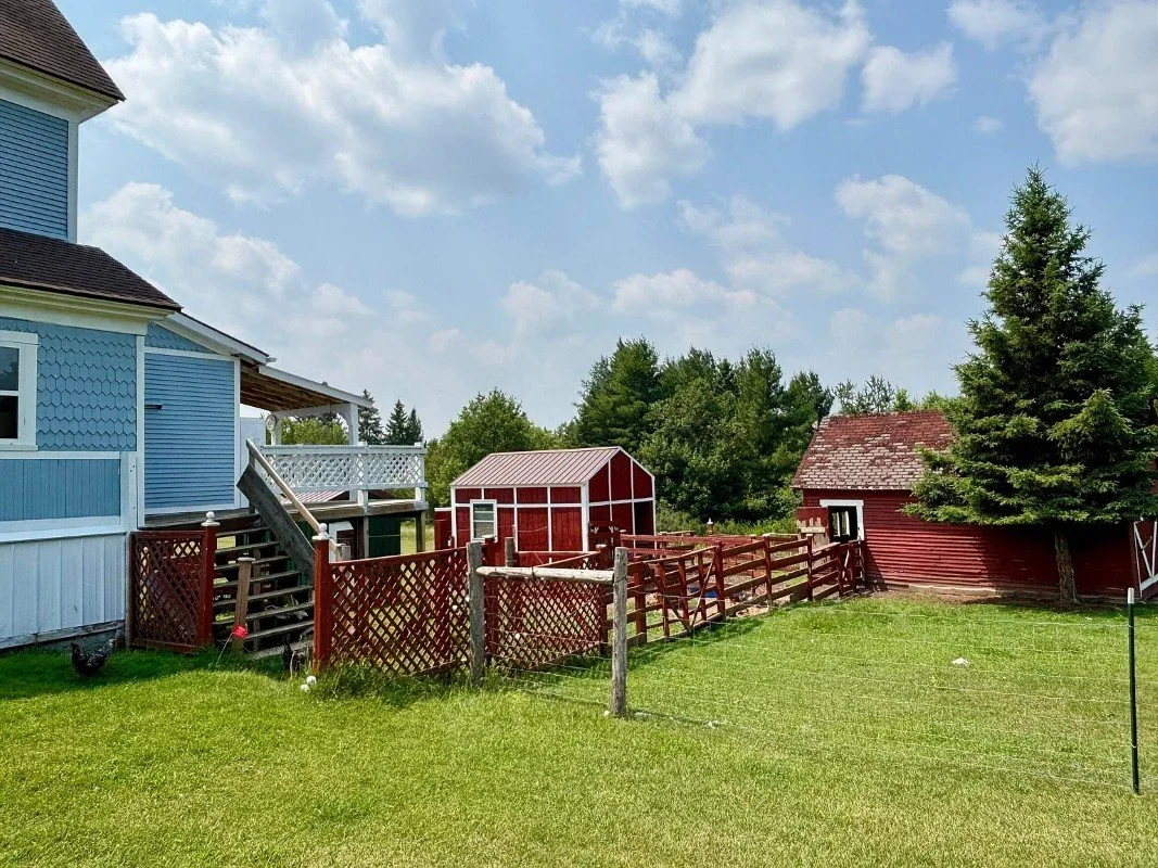 1883 Victorian house Newberry Michigan - 61 - backyard.webp