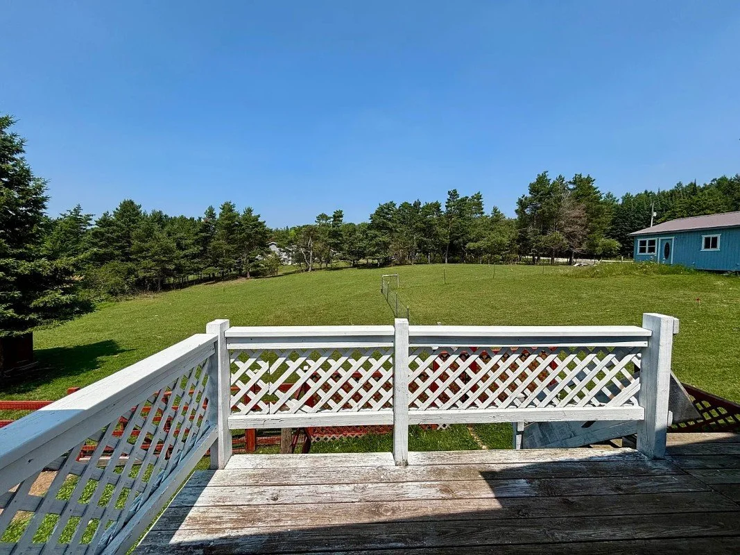 1883 Victorian house Newberry Michigan - 63 - backyard.webp