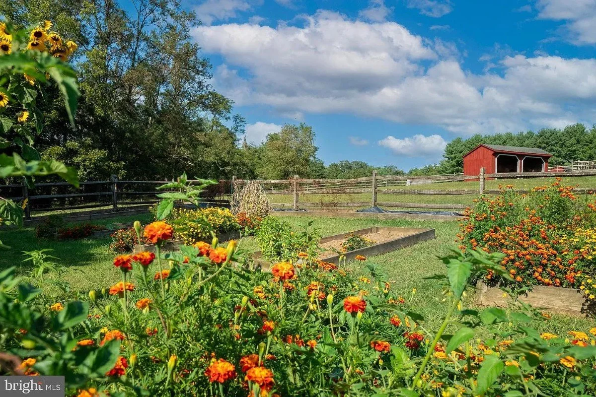 833 Stone Farmhouse West Chester Pennsylvania - 44 - garden.webp