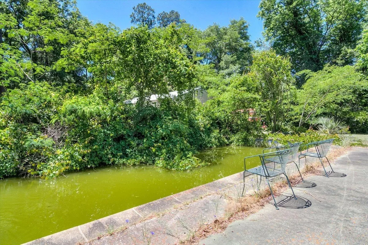 1900 Colonial Revival house Aiken South Carolina - 52 - koi pond.webp