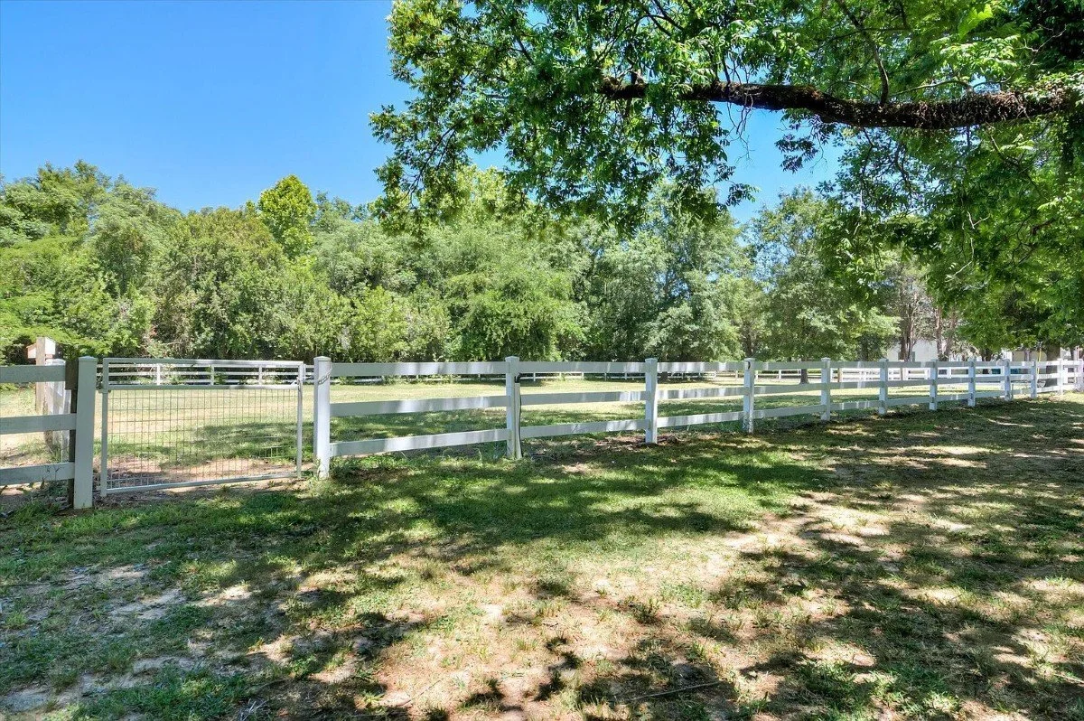 1900 Colonial Revival house Aiken South Carolina - 58 - backyard.webp
