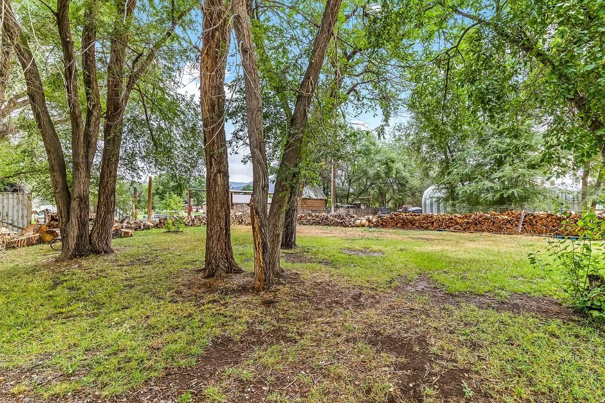 The Historic Junction Courthouse 1903 Edwardian Junction Utah - 14 - garden.webp