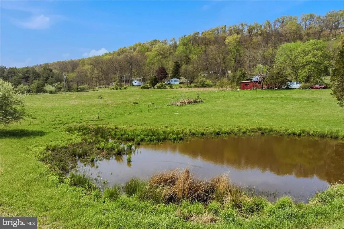 1888 Farmhouse Berkeley Springs West Virginia - 48 - pond.webp