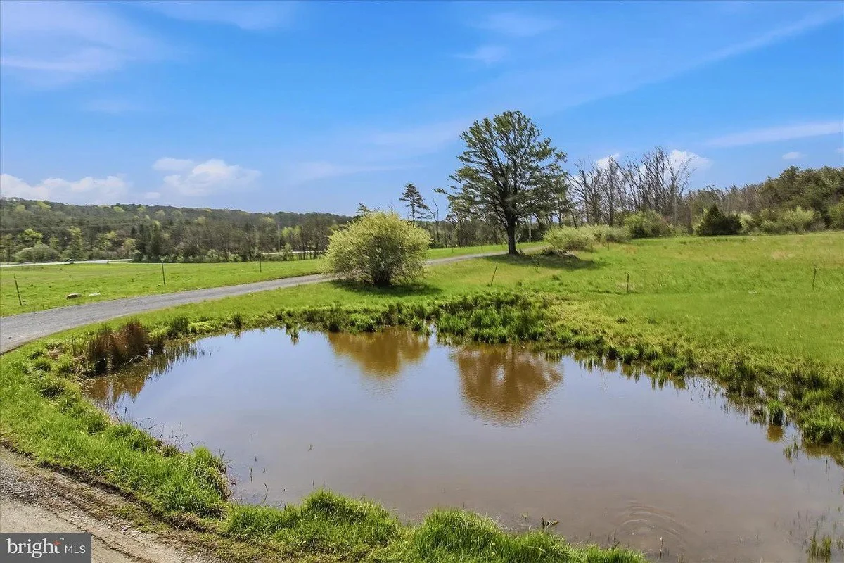 1888 Farmhouse Berkeley Springs West Virginia - 49 - pond.webp