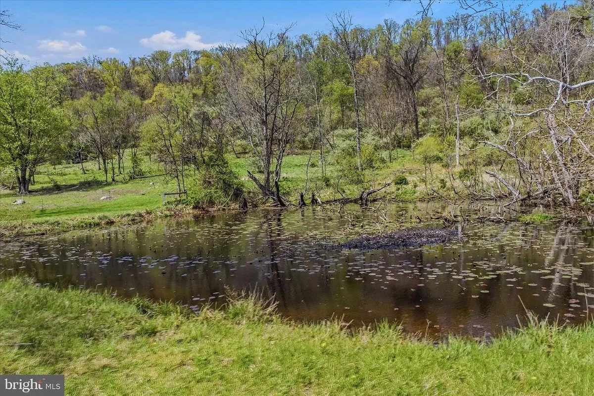 1888 Farmhouse Berkeley Springs West Virginia - 51 - pond.webp