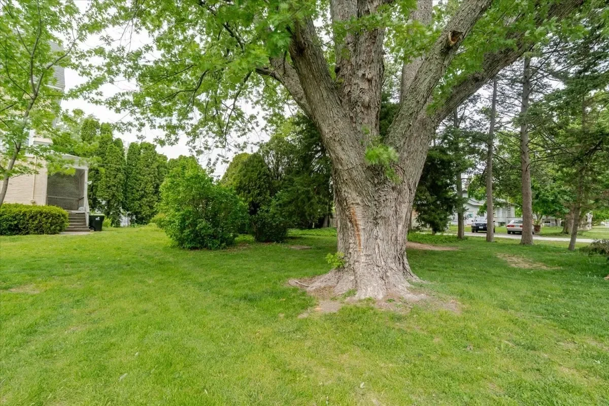 1899 Victorian house Chenoa Illinois - 44 - garden.webp