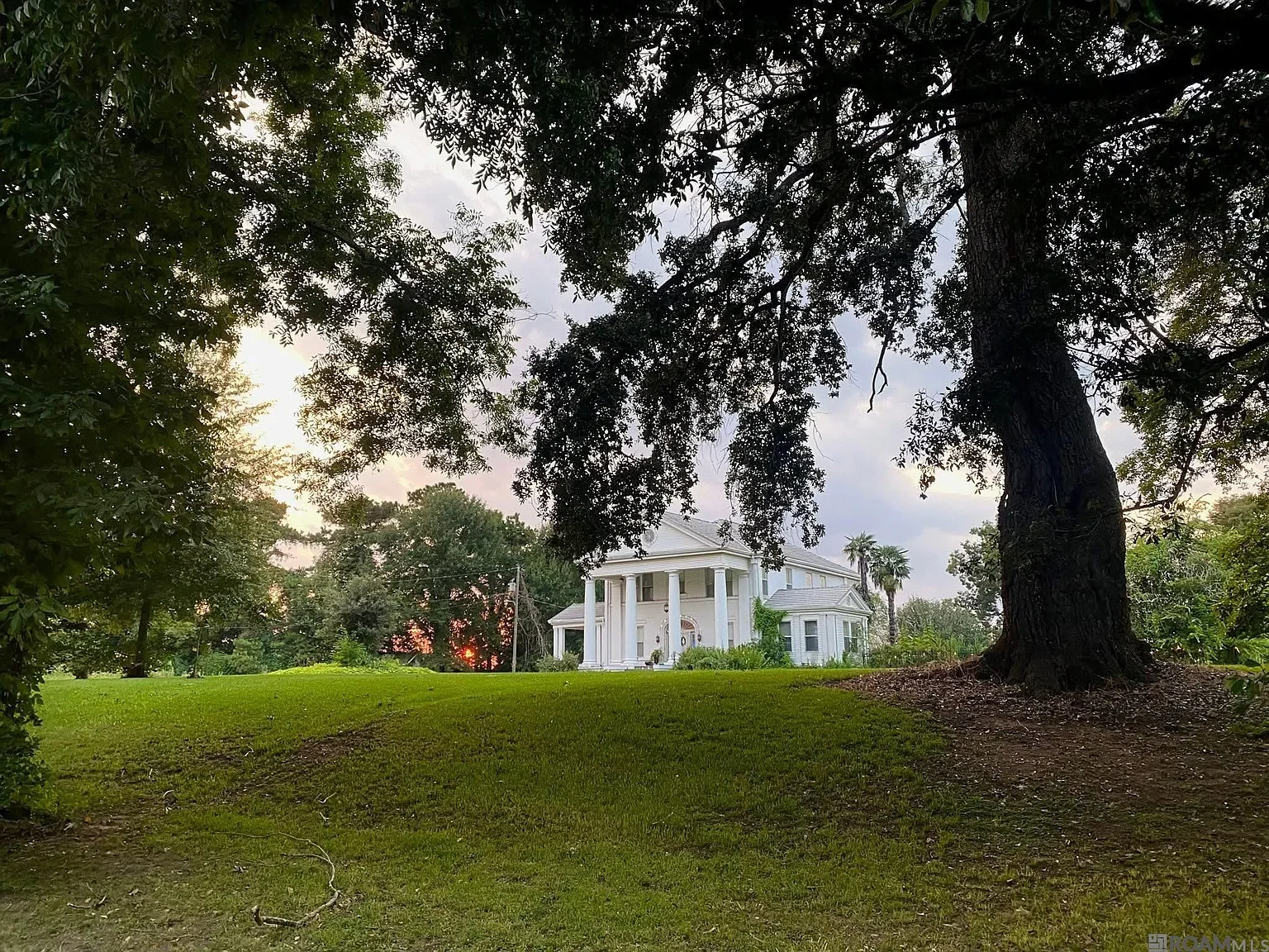 The Wade H Jones Sr home 1913 Colonial Revival Lecompte Louisiana - 40 - garden.webp