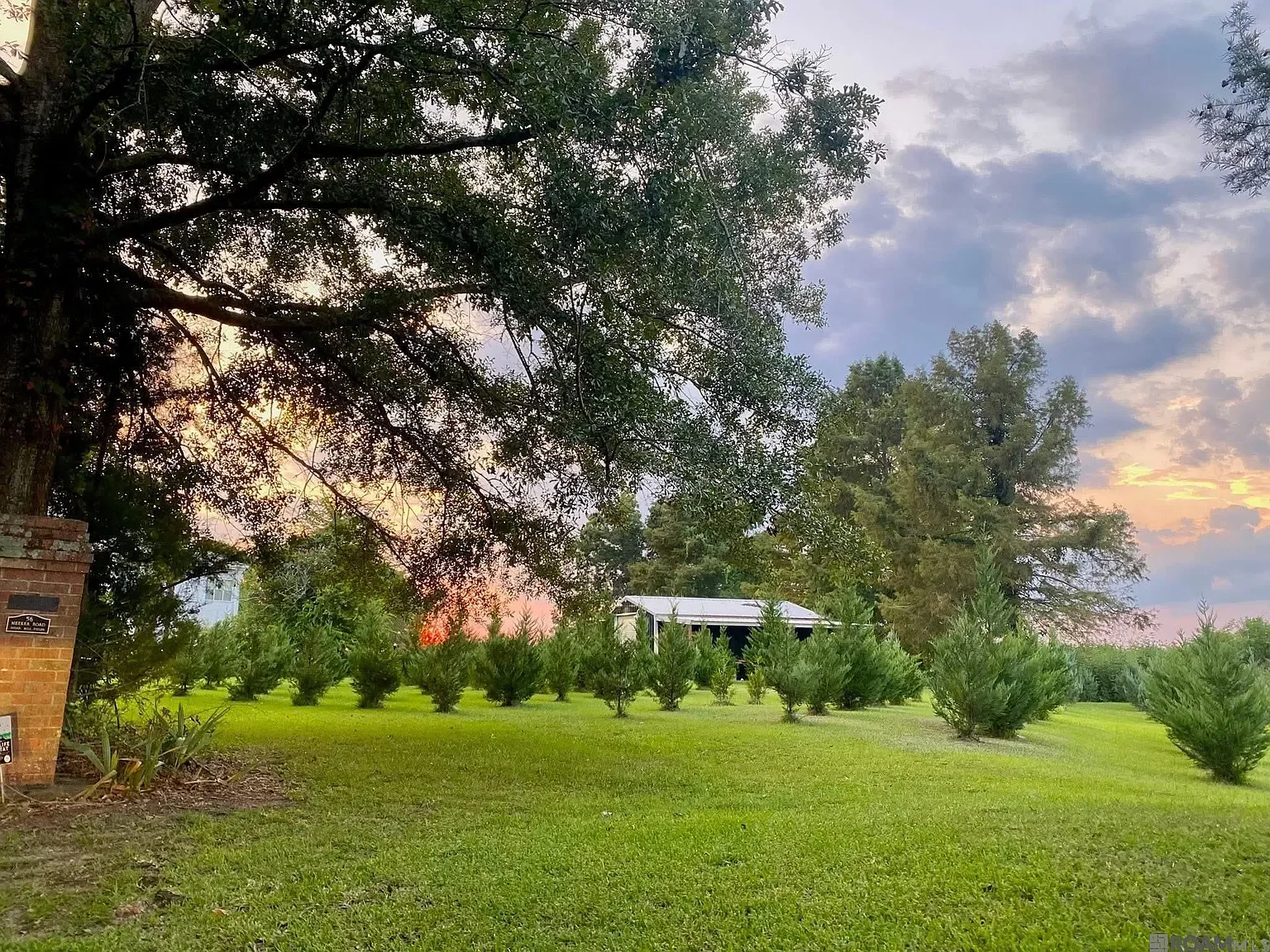 The Wade H Jones Sr home 1913 Colonial Revival Lecompte Louisiana - 41 - garden.webp