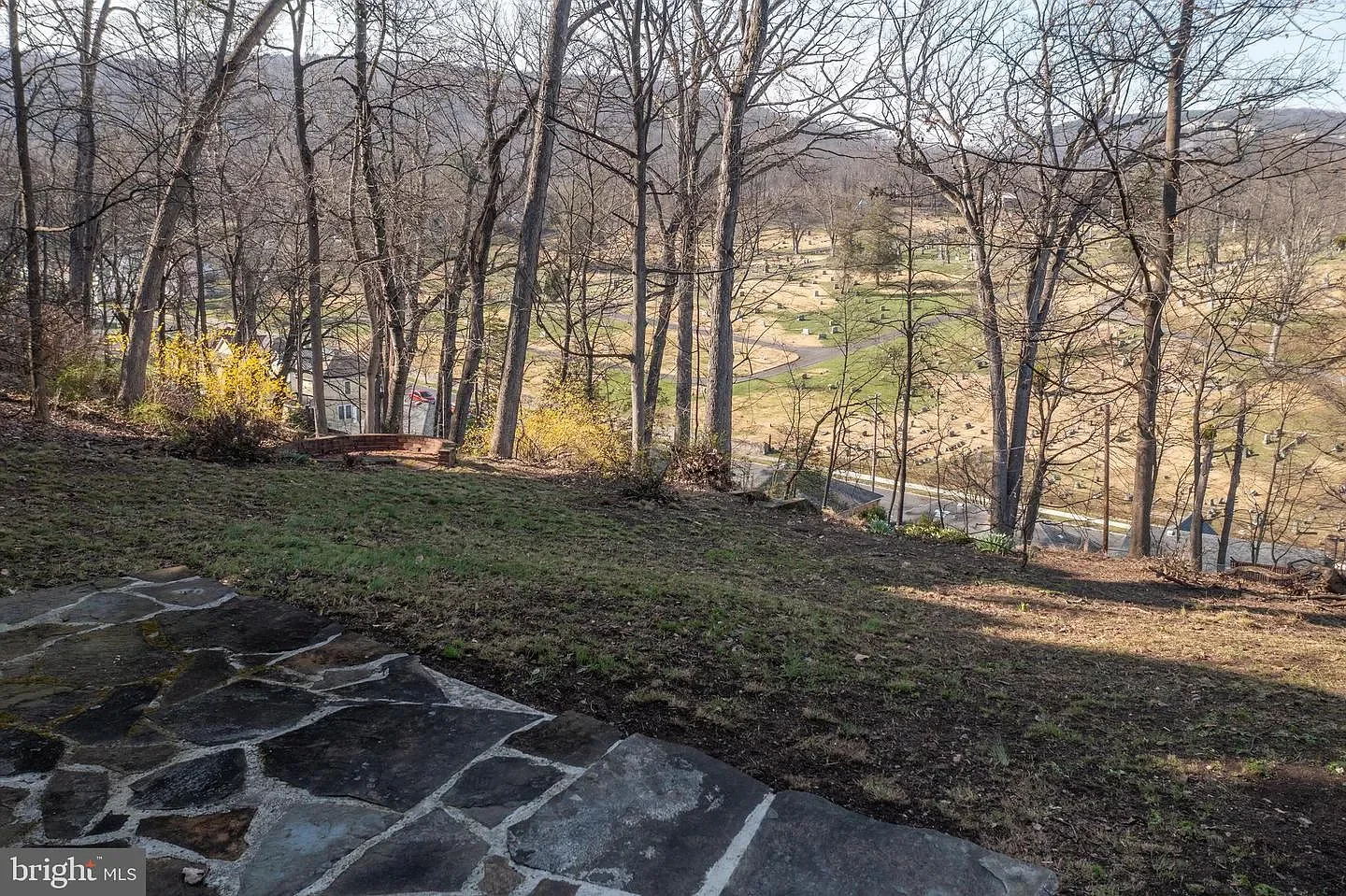 1901 Victorian house Cumberland Maryland - 57 - backyard.webp