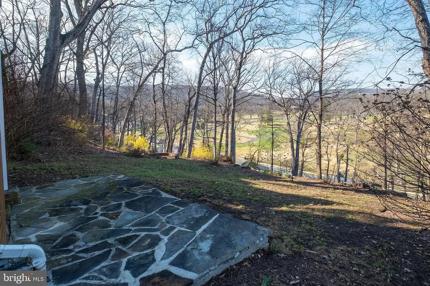 1901 Victorian house Cumberland Maryland - 58 - backyard.webp