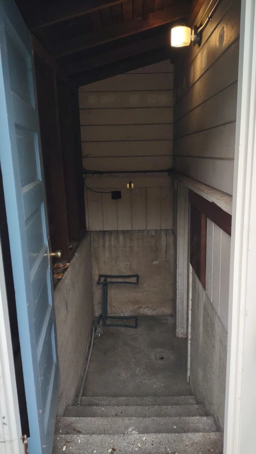 49 Exterior door to basement.JPG