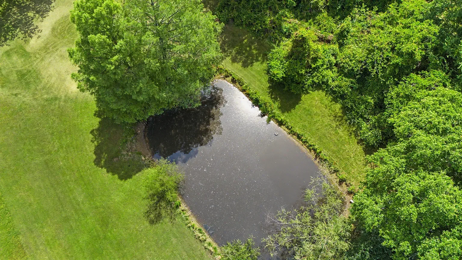 1930 Traditional House Hernando Mississippi - 34 - pond.webp