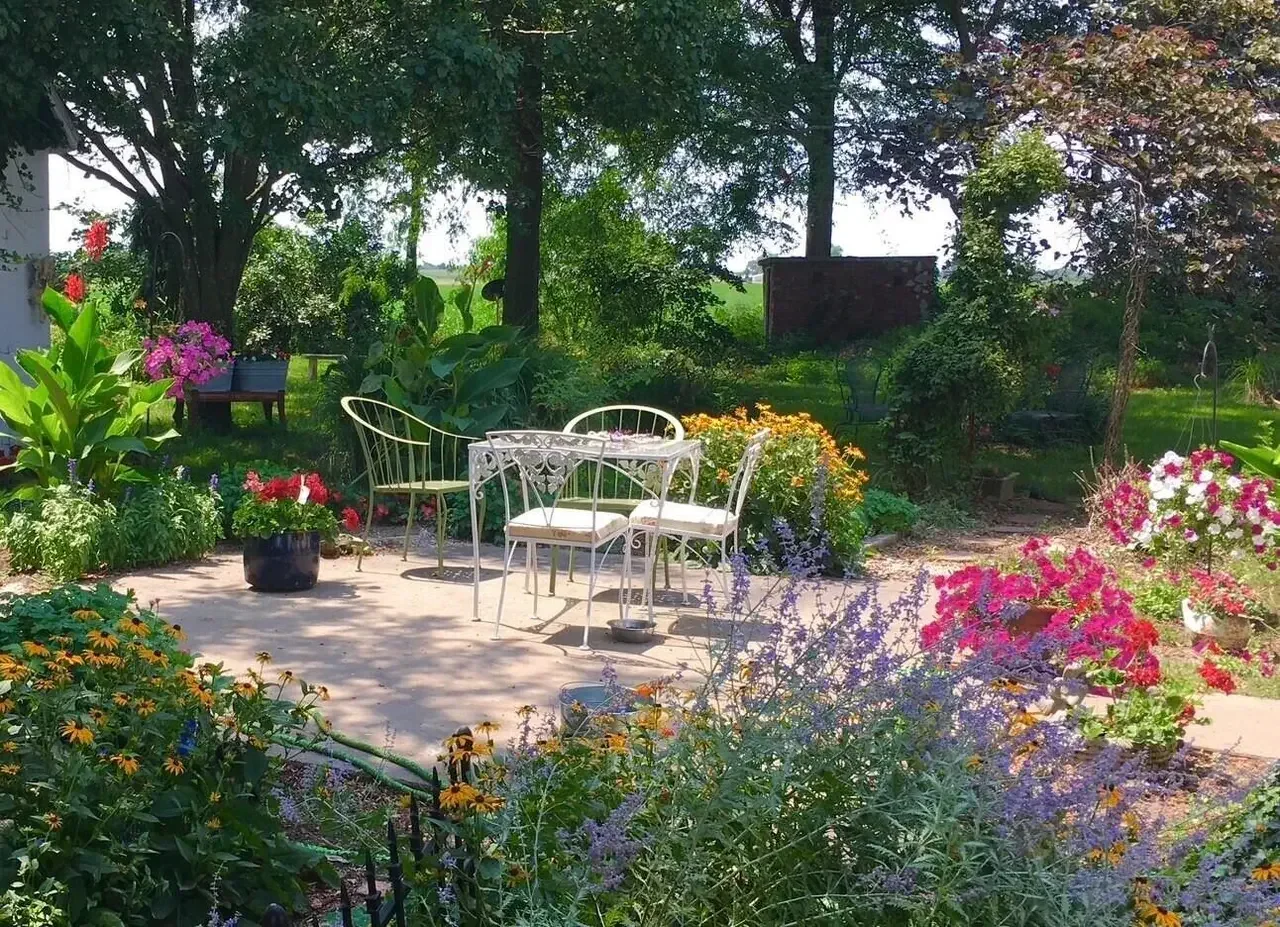 1882 Historic house Armstrong Missouri - 63 - backyard.webp