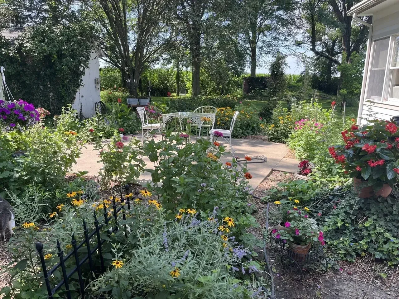 1882 Historic house Armstrong Missouri - 64 - backyard.webp