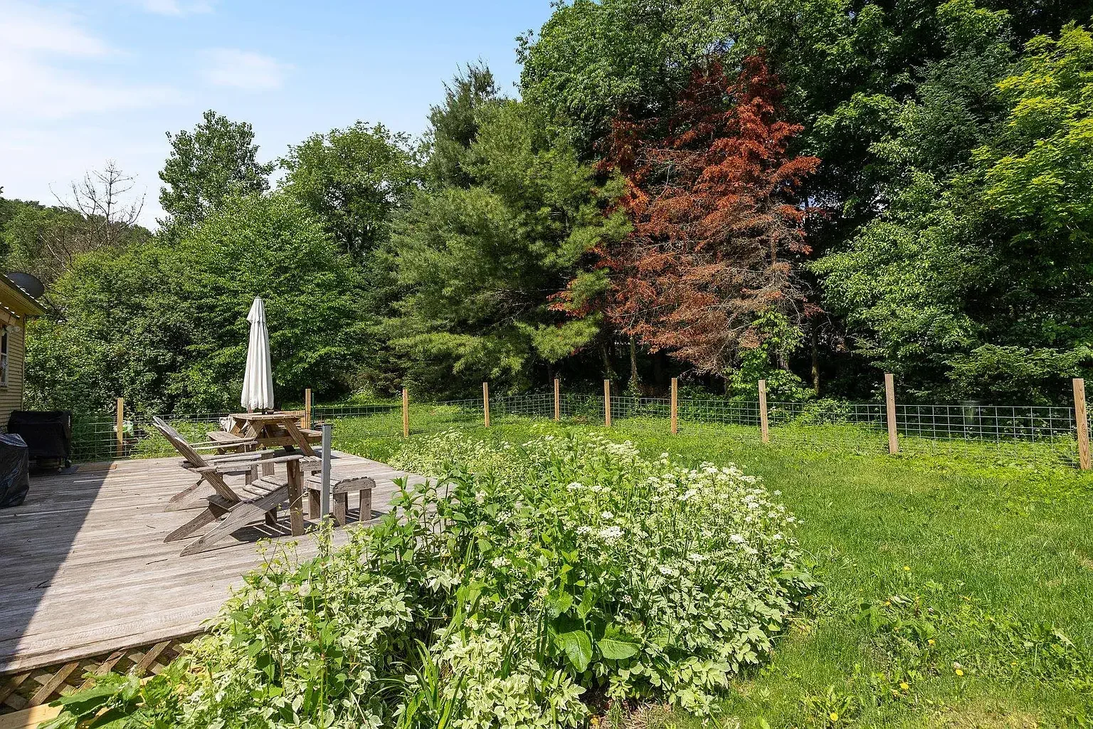 1850 Farmhouse Brookfield Vermont - 48 - backyard.webp