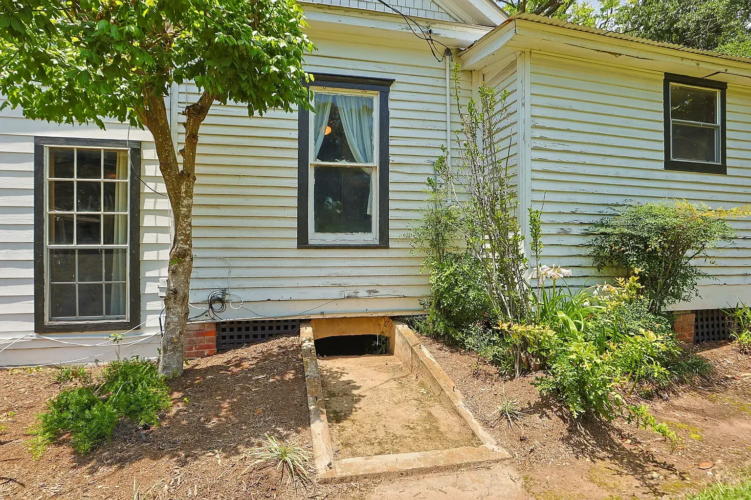1907 Folk Victorian house Tomball Texas - 31 - backyard.webp