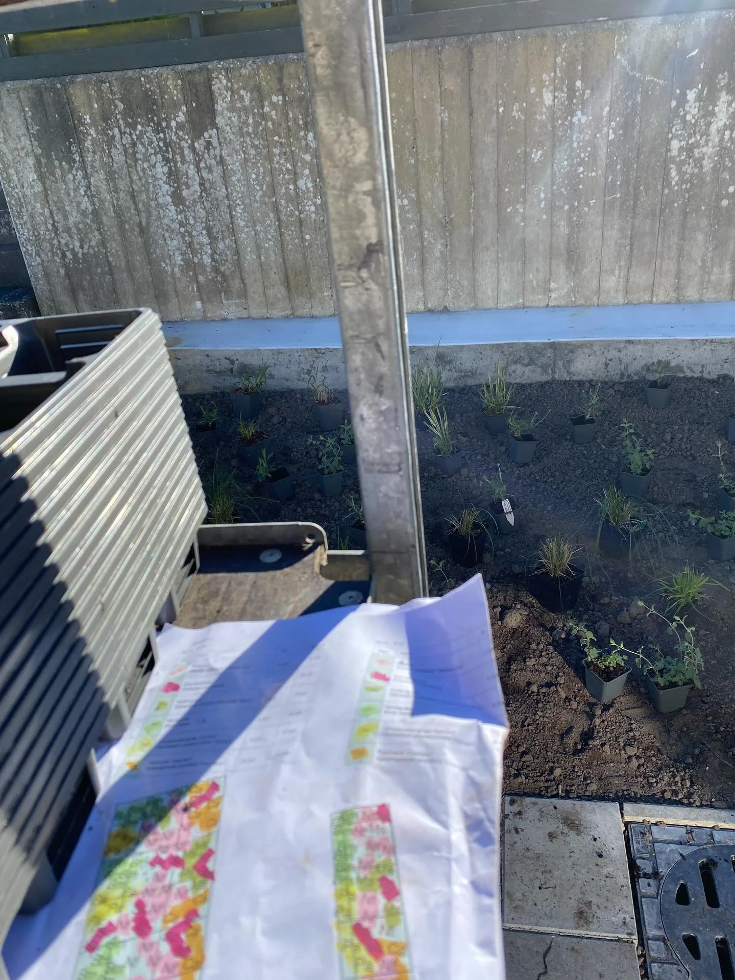 En alletiders plantedag i solen med de sejeste vicev&aelig;rter fra Bomidtvest 💪