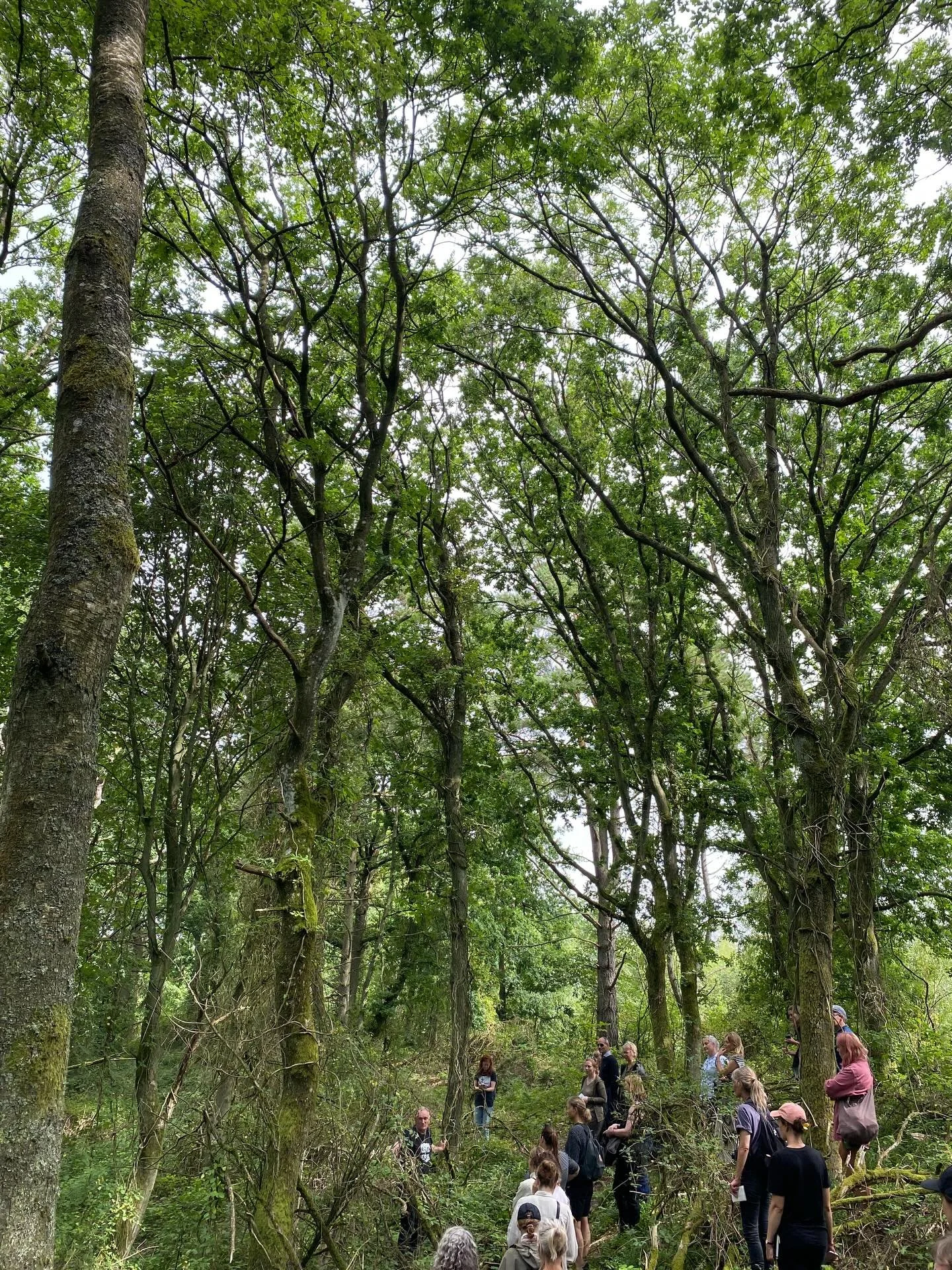 Klogere kan man altid blive! Dr&oslash;mmer mig til sommer og sol i molsbjerge,- og det sp&aelig;ndende kursus &ldquo;Biodiversitet i praksis for landskabsarkitekter&rdquo;. Alts&aring; se lige gr&aelig;shoppen 🤯