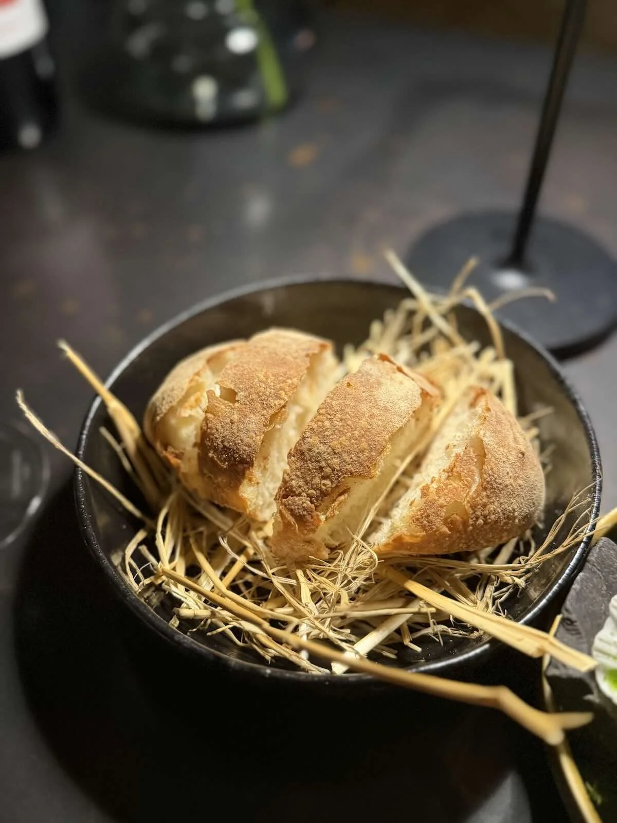 Terrarium starter - Sourdough
