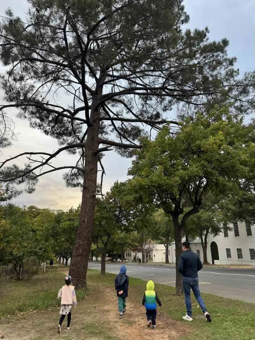 Walk through Franschhoek