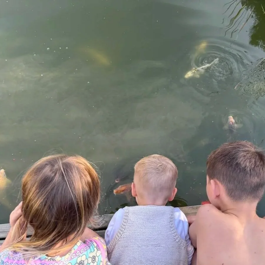 Ou-Skool-Robertson-koi-pond-feeding-fish.jpg
