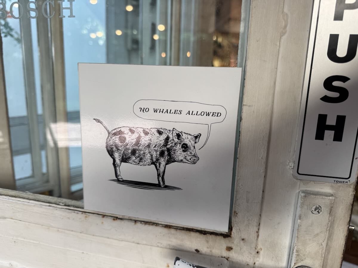 Spek-Bone-Stellenbosch-no-whales-allowed