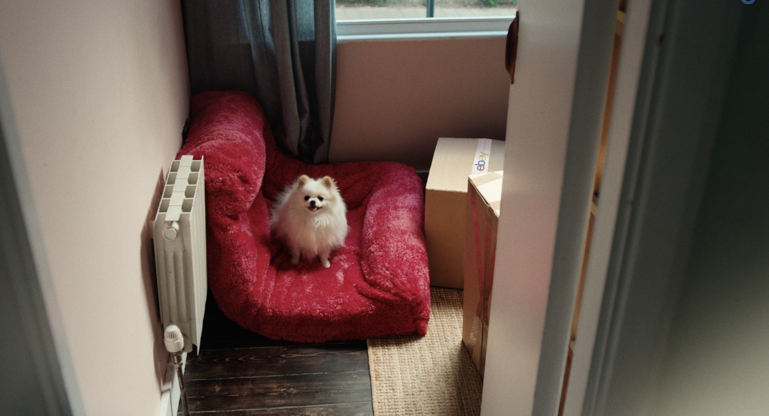 eBay See Things Differently